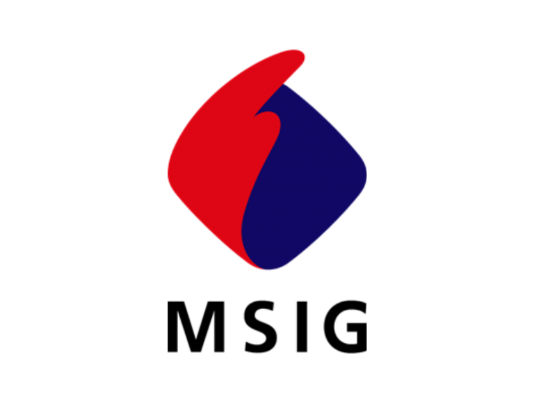 Mitsui Sumitomo Seguros